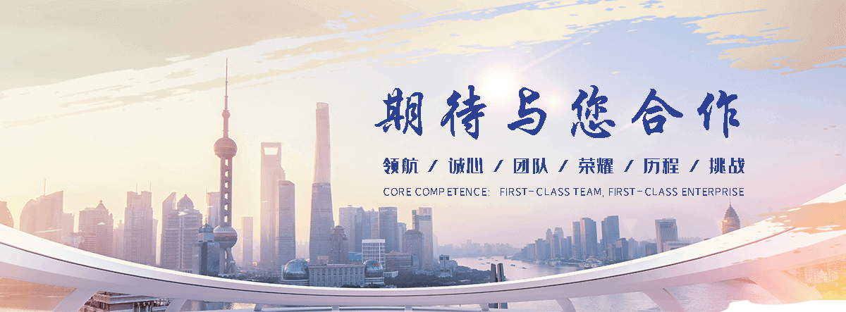 巢湖海狮租赁公司